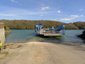 tmp_P1040470-1281163744