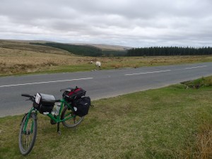 tmp_P1040480990549965