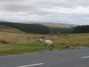 tmp_P10404811786089883