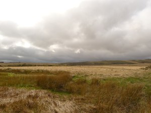 tmp_P1040486-706041161