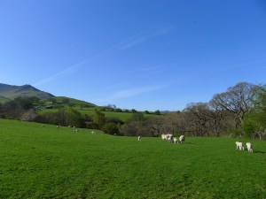 start im lake district... viel sonne, viele climbs