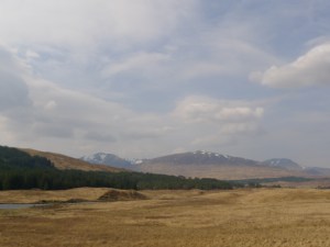 tmp_P1040641-608096275