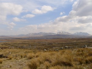 tmp_P10406522063362728