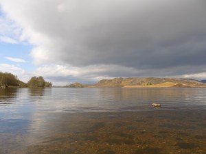 tmp_P10406992063362728