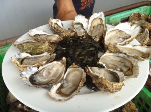 ...bekommt aber trotzdem frische Austern