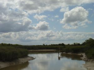 Fischerhütten am Fahrradweg