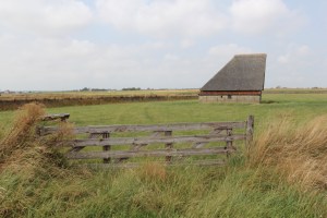 Typische Scheunen mit Windschutz für die Schafe