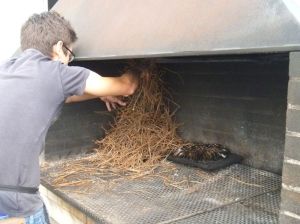 Mit Piniennadeln geräucherte Miesmuscheln