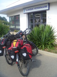 30 Minuten vor Ladenschluss (Samstag!) wird er beim Tierarzt abgegeben