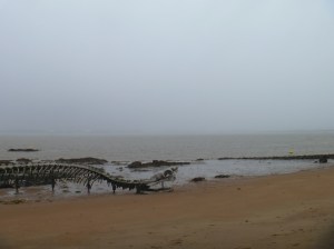 120 Meter ist "Serpent d' ocean" lang