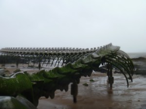 Und wirkt sehr authentisch