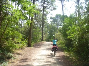 Zwischen Pinien fährt es sich besser