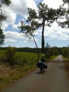 Der Radweg verläuft größtenteils im Wald