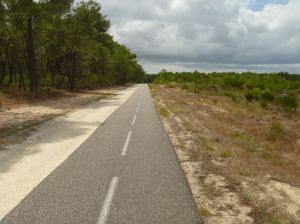 Der Fahrradweg ist phantastisch