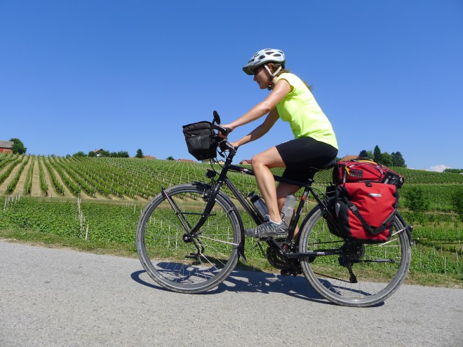 Die ersten Weinberge kommen in Sicht