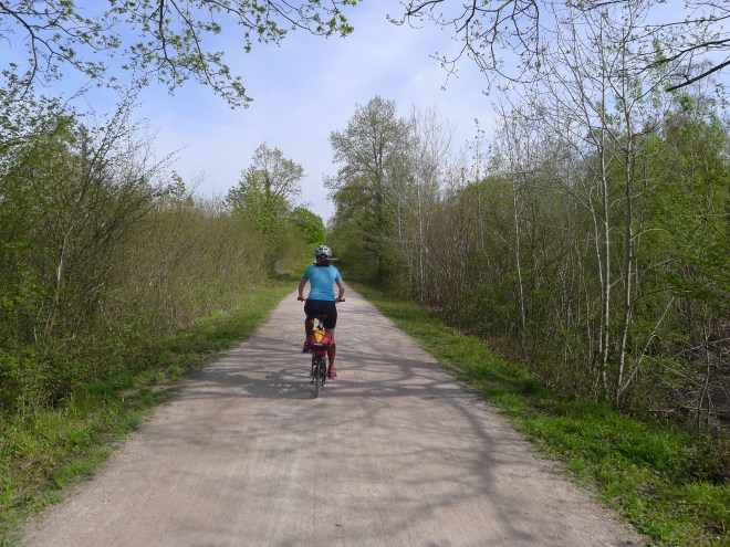 Porridge ist unser Benzin.