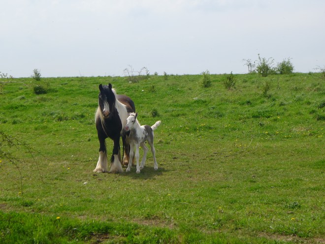 Ablenkungen am Wegesrand
