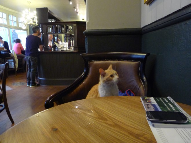 Abends trifft man sich im Pub.